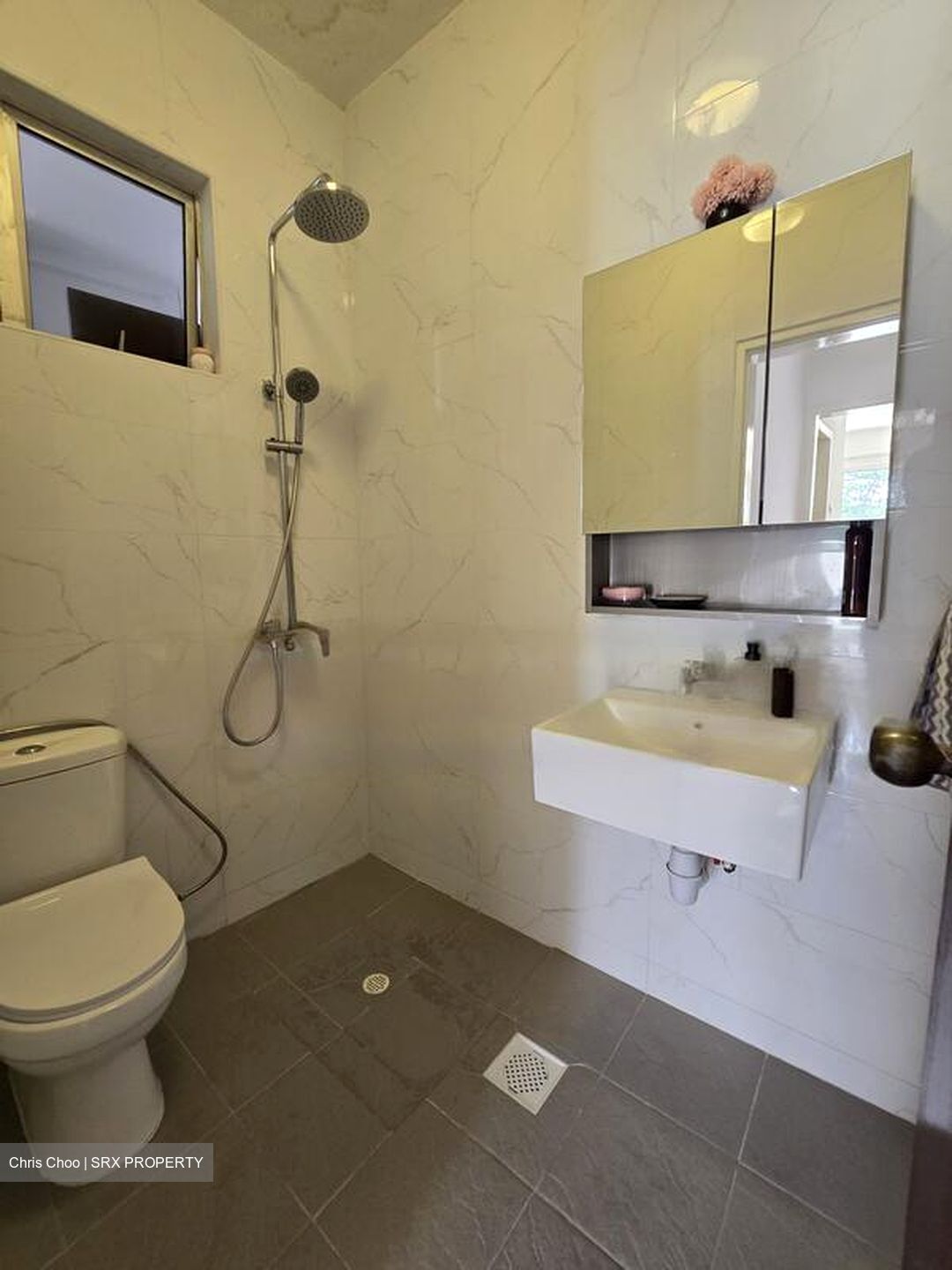 Clementi Park (D21), Condominium #439413661